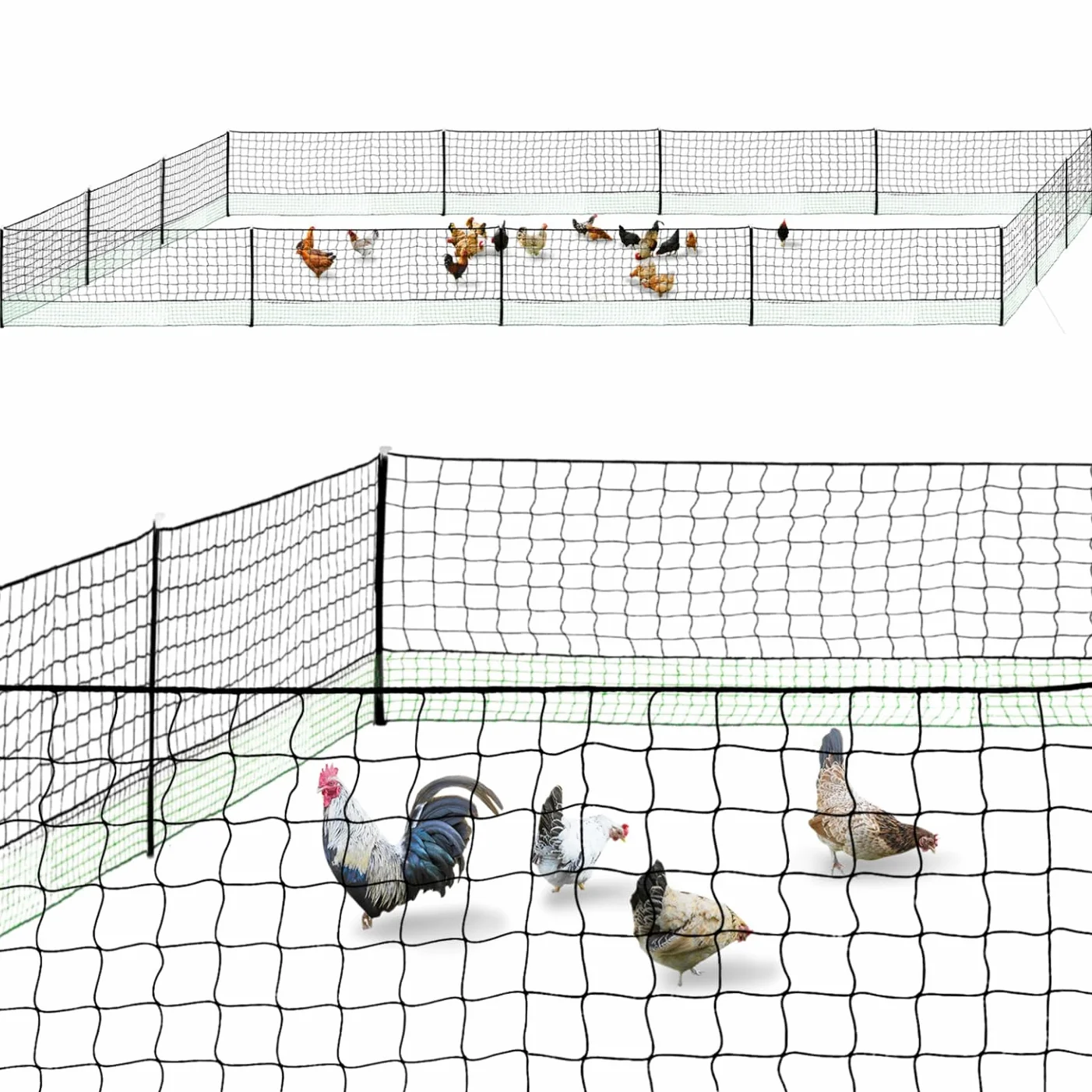 IDMarket – Kit de valla de red de gallinas 50 m con puerta 15 estacas doble punta