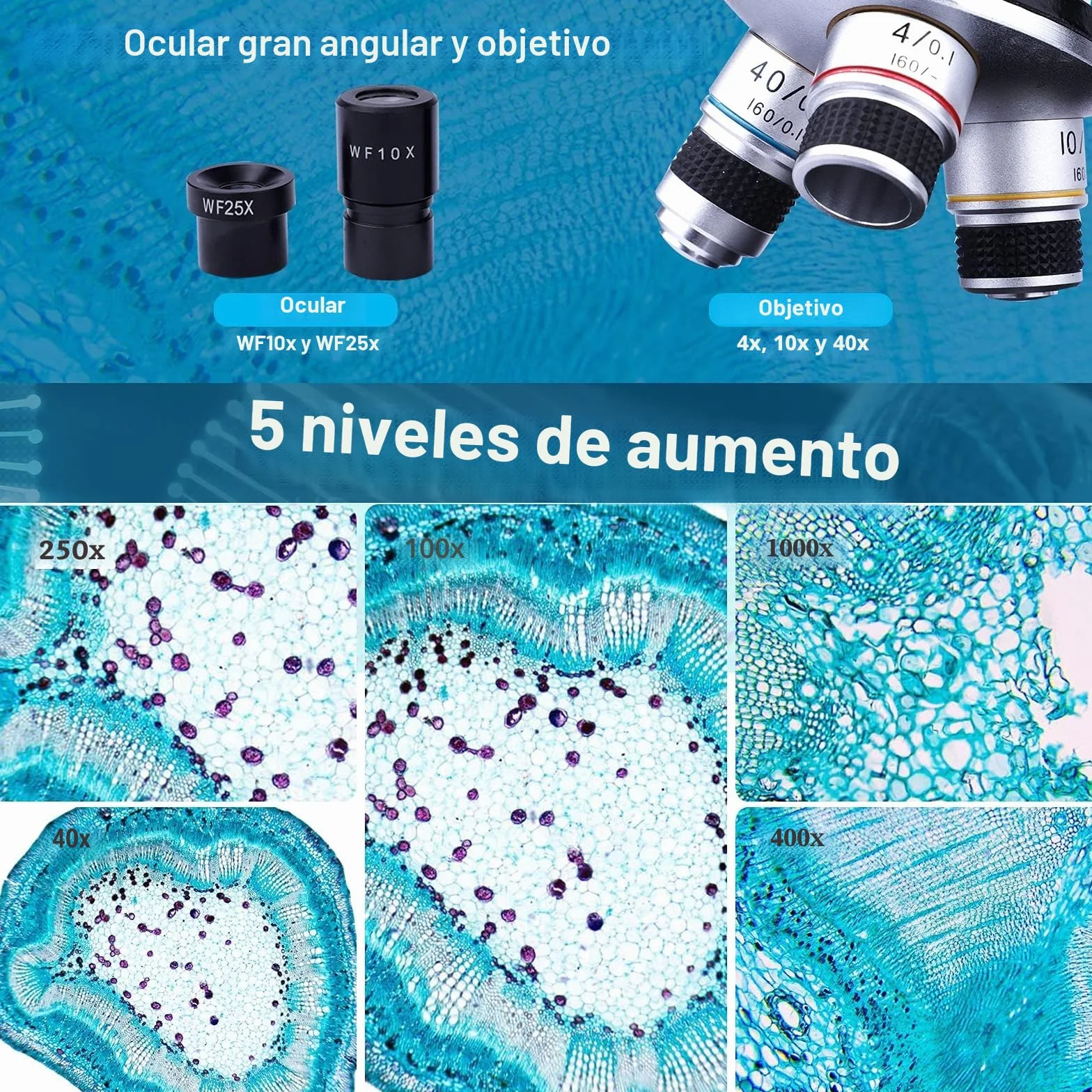 Microscopio Binocular para Niños y Adultos - Juego de Microscopio Junior 40x-1000x - Iluminación LED para luz Transmitida y Reflejada