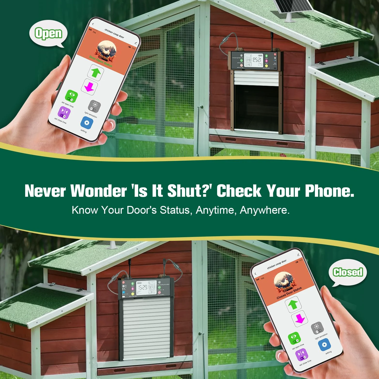 Puerta automática de pollo solar con aplicación TUYA y mando a distancia, estado en tiempo real, recargable por USB, conexión WiFi automática, temporizador y sensor de luz, protección contra