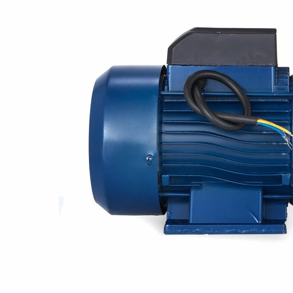 Bomba de agua de 2200 W de acero inoxidable para jardín, casa y granja con interruptor de presión Bomba centrífuga para suministro de agua en jardín, terraza, granja