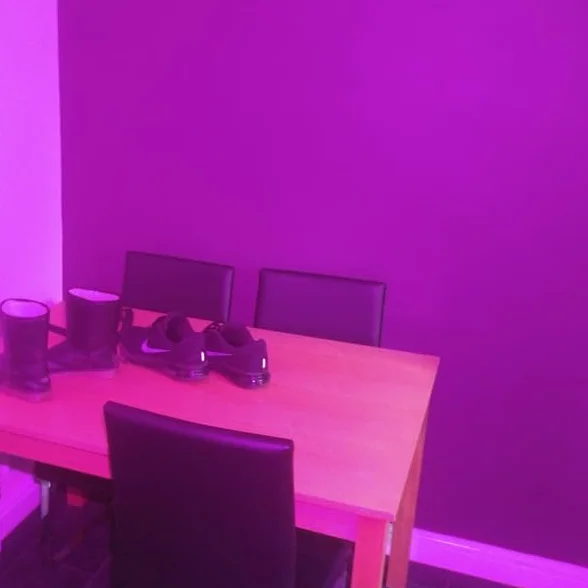 Luz de cámara de espectro completo, iluminación de video LED FS de alta potencia para caza de fantasmas, equipo de caza de fantasmas, paranormal