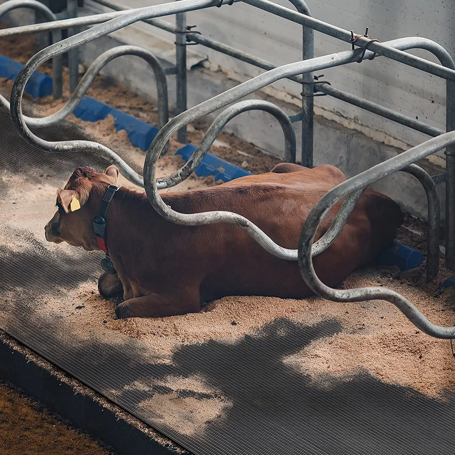 Establo de Goma para la cría de Animales; Alfombrilla para Caballos, cuidadosa con Las articulaciones, Alfombrilla de Goma Antideslizante, Alfombrilla de protección para el Suelo (200 x 100 cm)