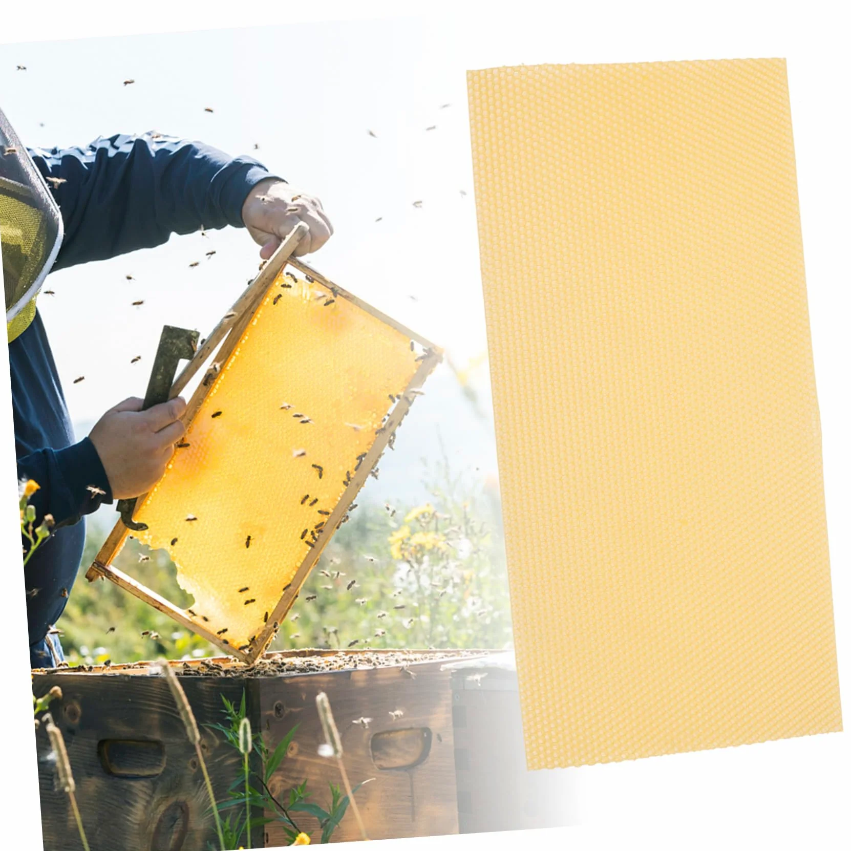 VANZACK 30 Láminas Base de Panal de Abejas de Cera Natural para Apicultura, Alta Producción y Rápida Formación de Colmena, Color Amarillo, Ideales para Manualidades y Fabricación de Velas