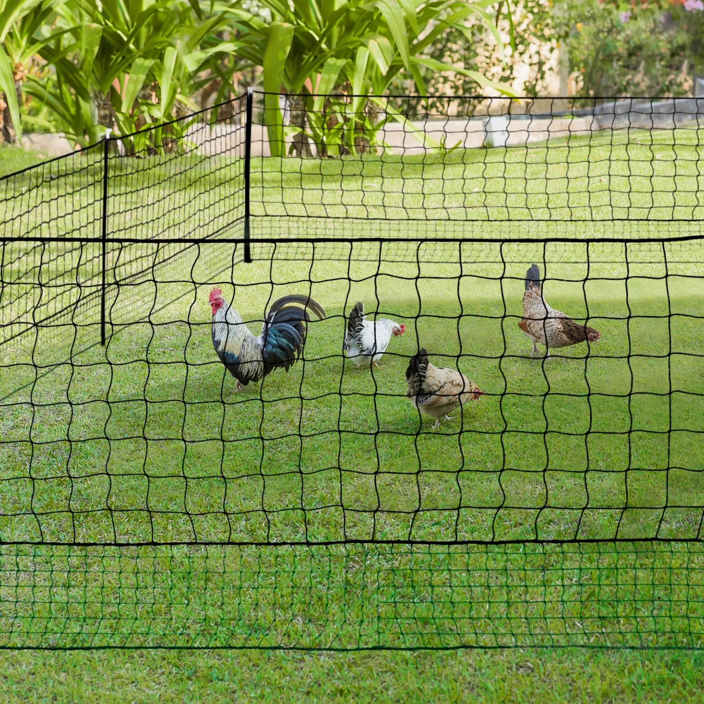 IDMarket – Kit de valla de red de gallinas 50 m con puerta 15 estacas doble punta